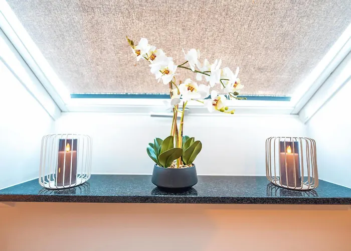 公寓 Stylisch - Citynah - Helios - Hbf - Messe Dus 克雷费尔德